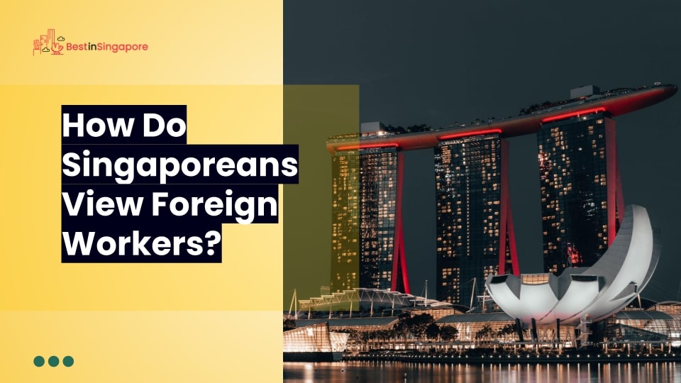 How do Singaporeans view foreign workers