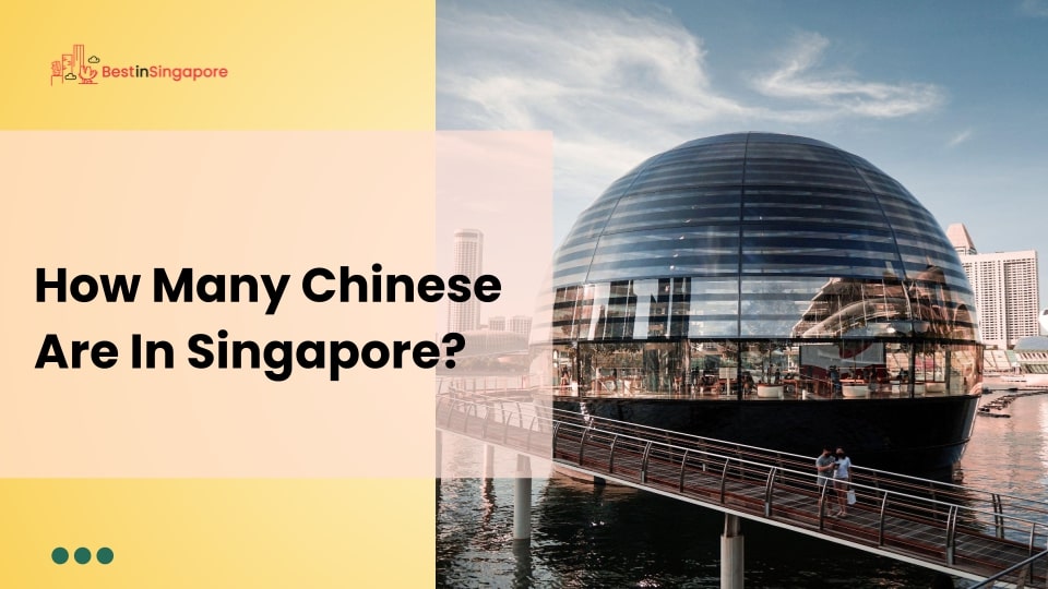 How many Chinese are in Singapore