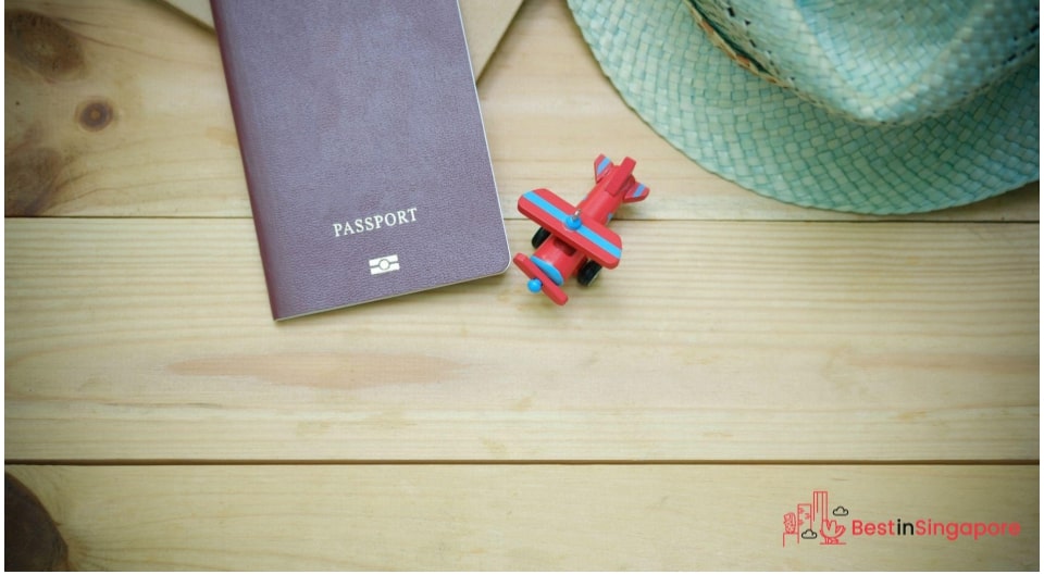 If You Have a Visa Pass as a Student or Trainee