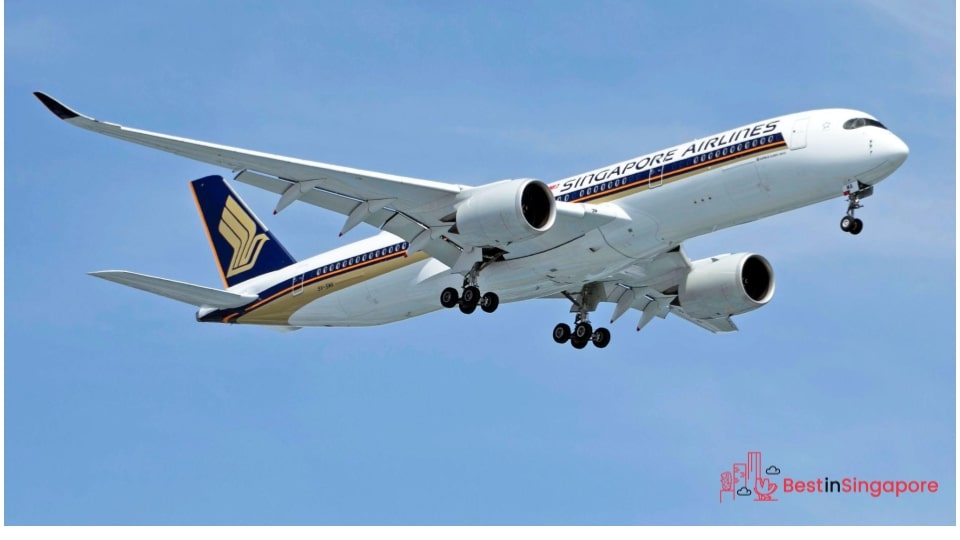 Passports should have a minimum of 6 months’ validity from the date of arrival in Singapore