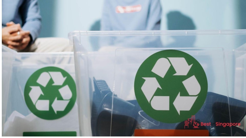 Singapore wants to promote a national identity by way of order and cleanliness