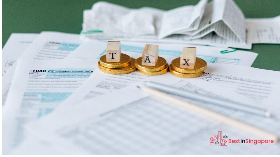 Singaporeans enjoy a lower maximum income tax