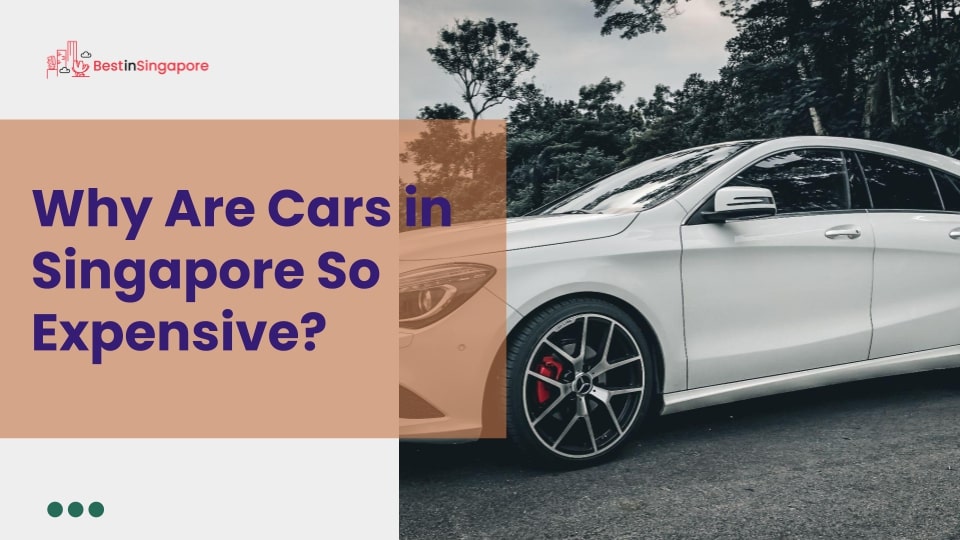 Why are cars in Singapore so expensive