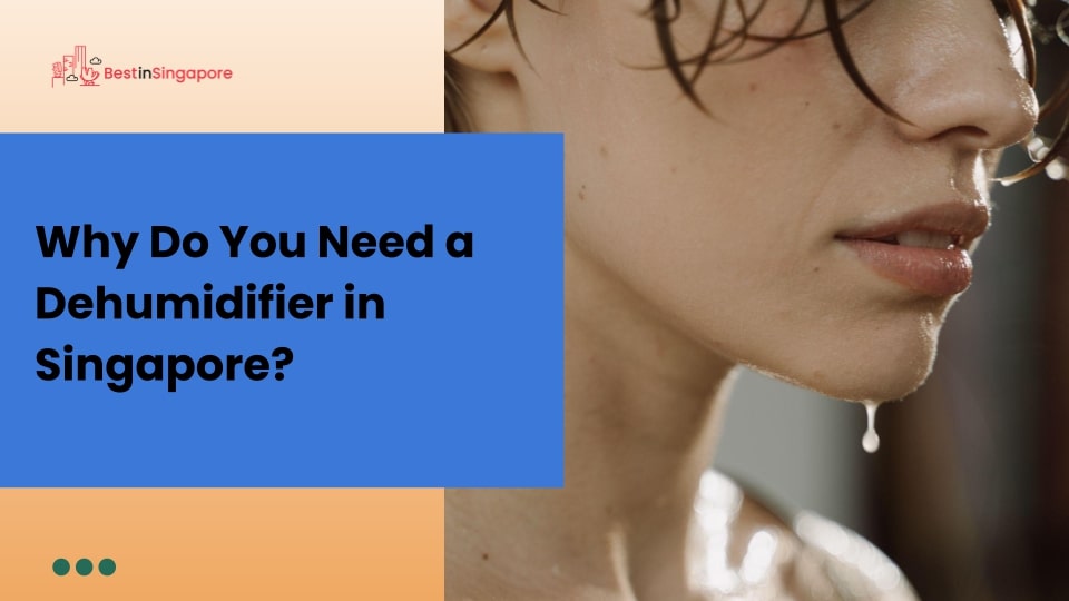 Why do you need a dehumidifier in Singapore