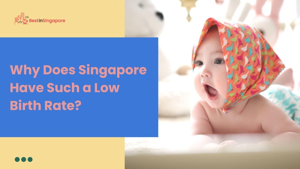 Why does Singapore have such a low birth rate