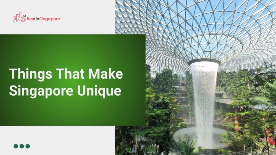 7 Things That Make Singapore Unique