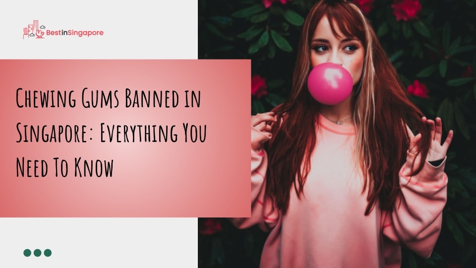 Chewing Gums Banned in Singapore Everything You Need to Know
