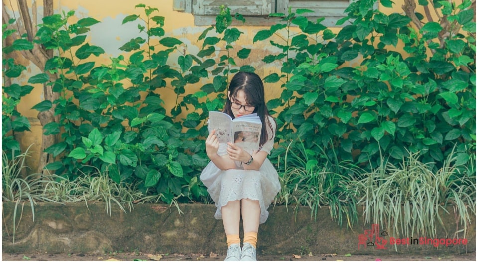 Invest in more books and publications on the language