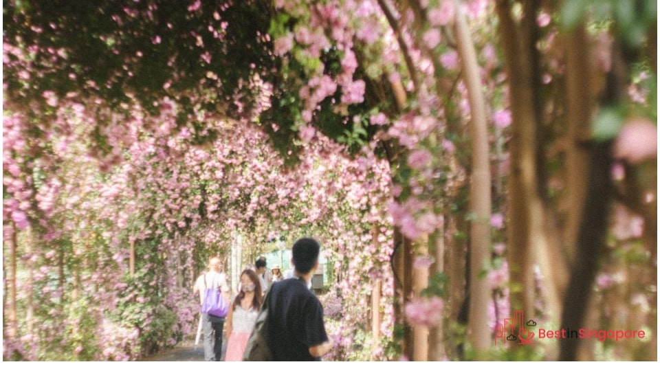 Its “sterile” veneer makes Singaporeans and visitors feel safe