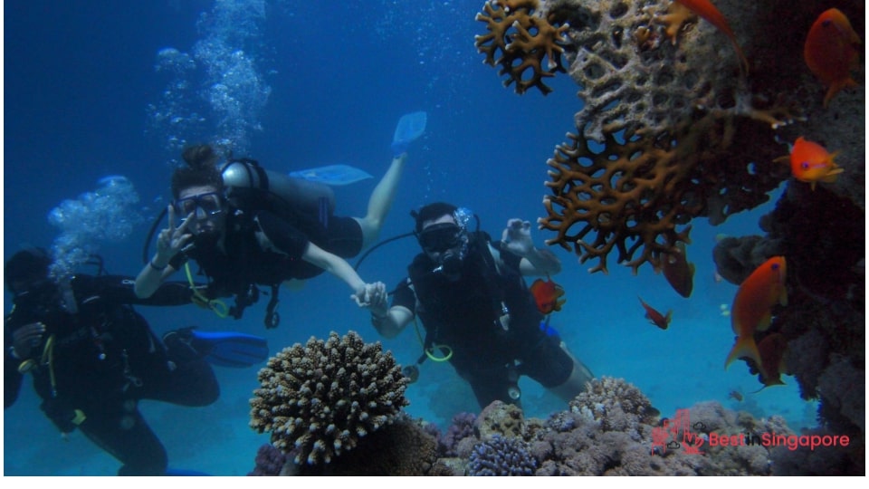 Visit an underwater trail