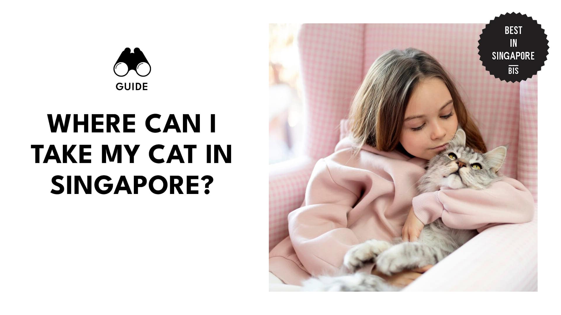 Where Can I Take My Cat In Singapore