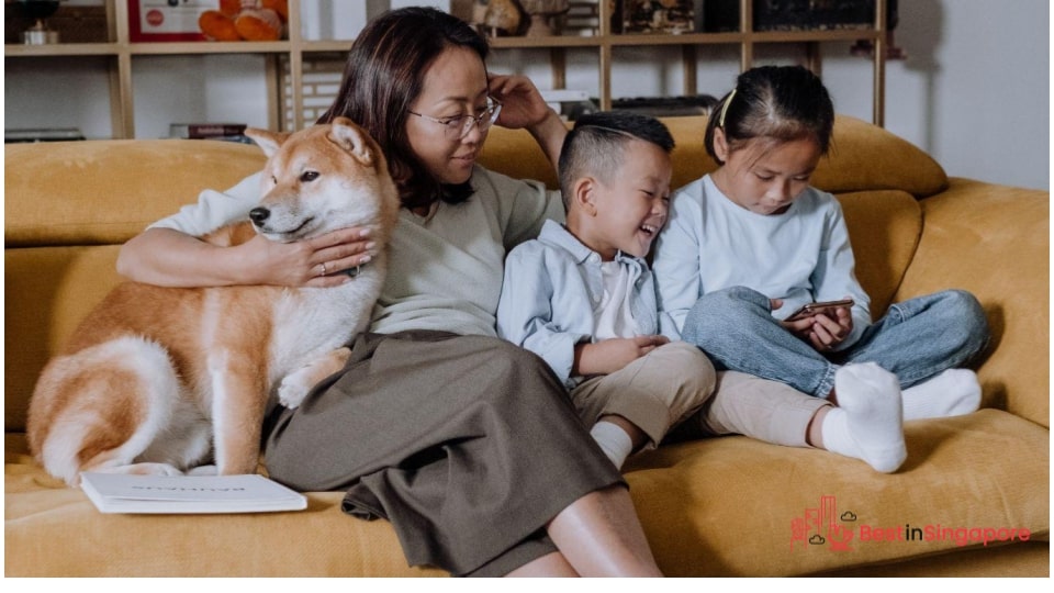 Best Neighbourhoods for Families with School-Age Kids