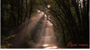 Explore some great hiking trails