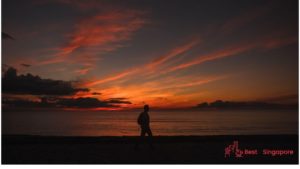 Take a coast trek on Changi Point Costal Walk