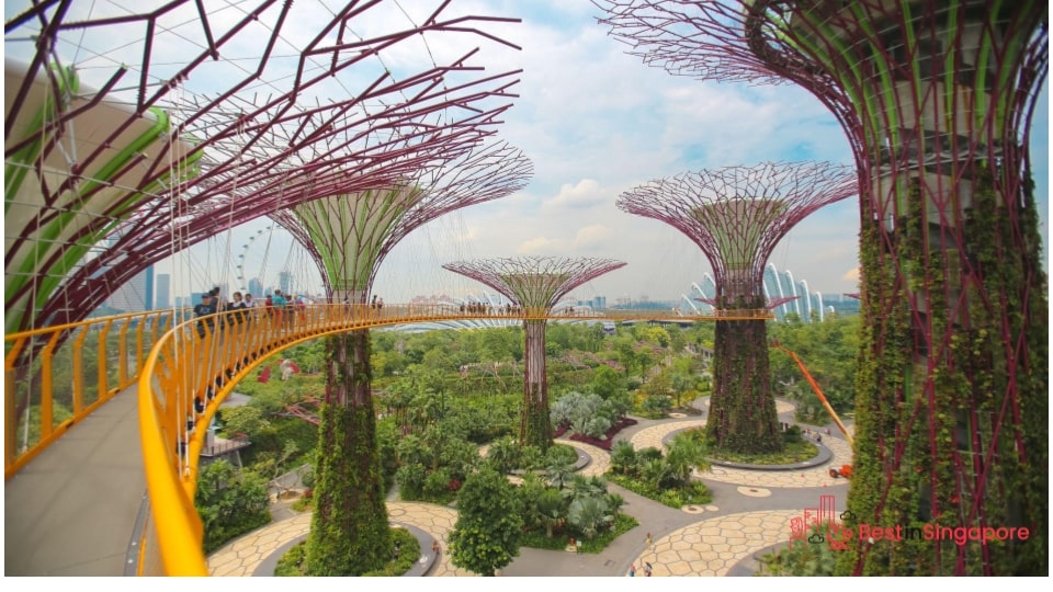 Gardens By the Bay