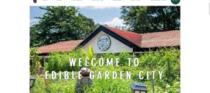 Edible Garden City
