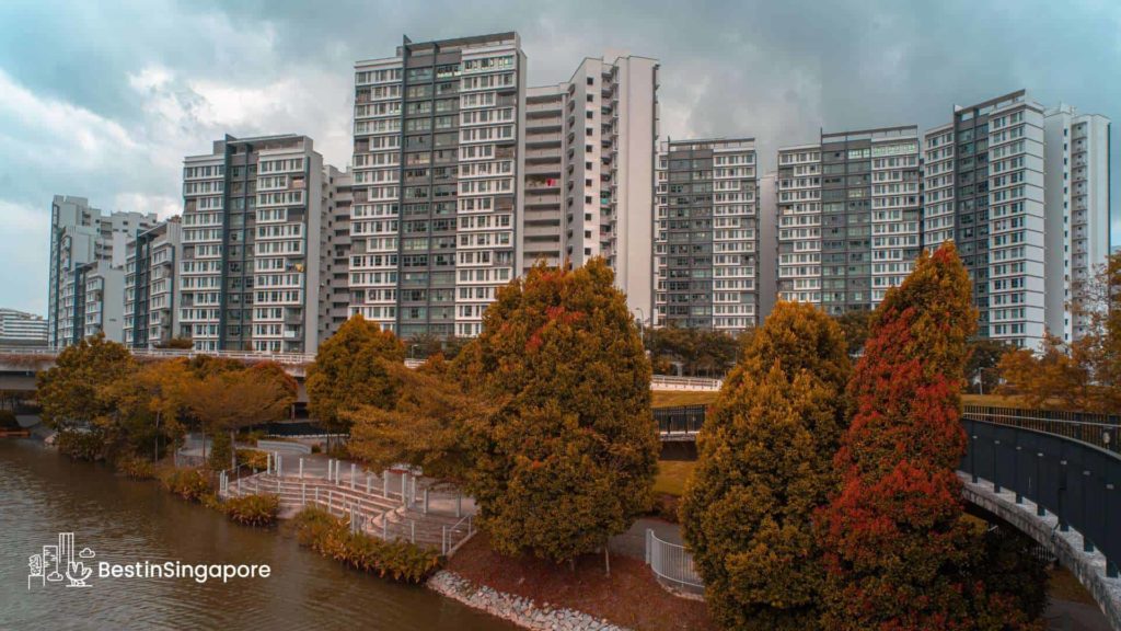 Executive Condominiums (ECs)