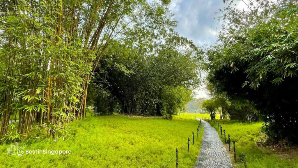 Explore Singapore’s gardens