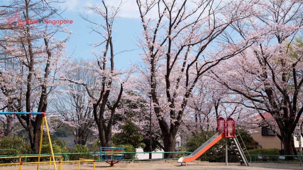 Have fun on outdoor playgrounds
