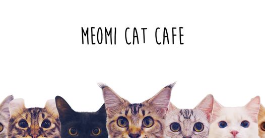 Meomi Cat Cafe