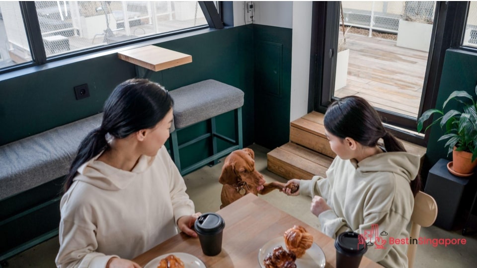 Pet Cafes in Singapore