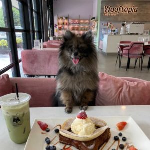 Wooftopia Pet Cafe