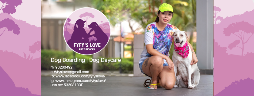 fyfys love pet services