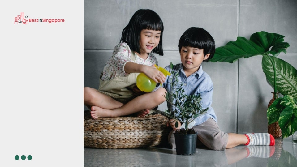 20 Best Daycare Centres in Singapore - Reviewed