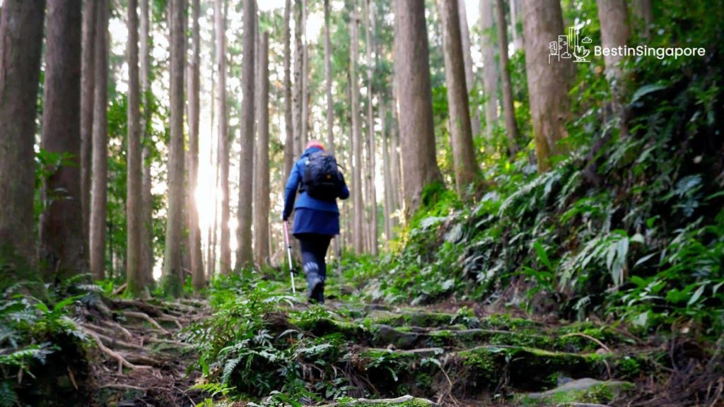 Are there trails in Labrador Nature Reserve