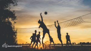 Beach Volleyball Court and Sand Play