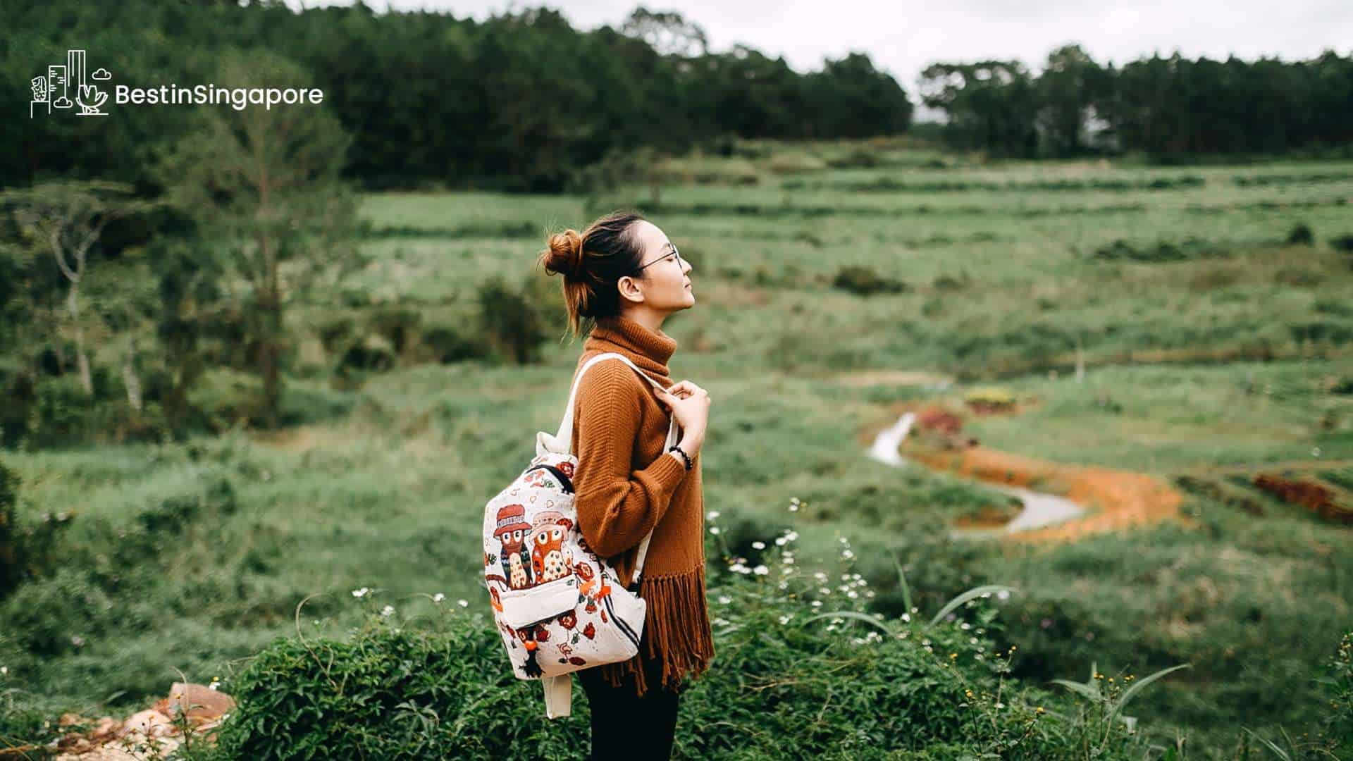 Best Things to Do Alone in Singapore