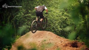 Chestnut Pump Track