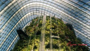 Cloud Forest Waterfall