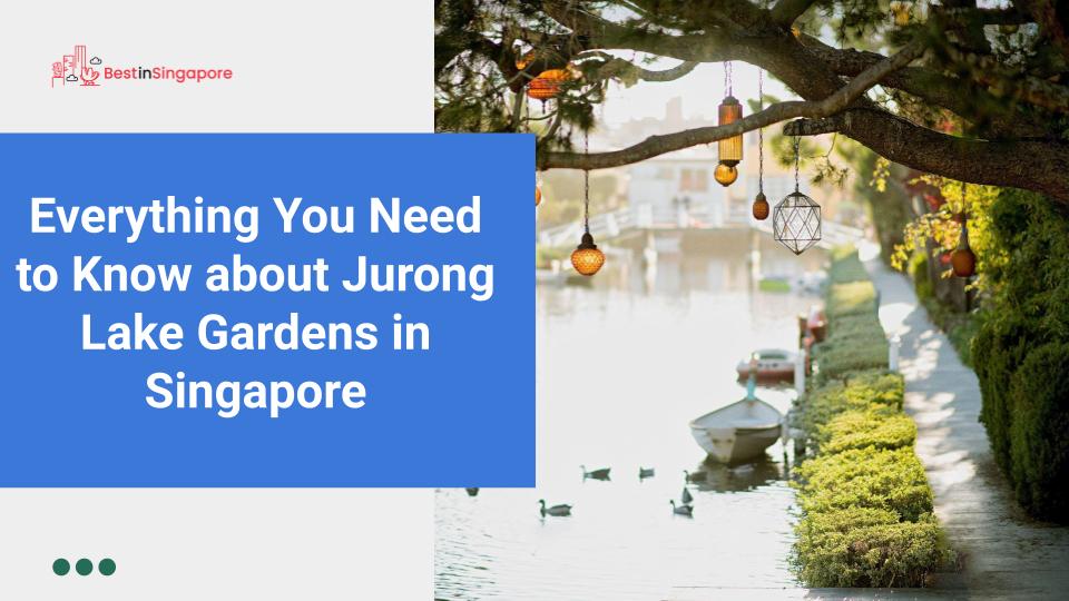 Everything You Need to Know about Jurong Lake Gardens