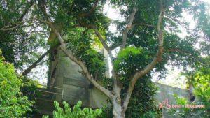 Fort Pasir Panjang