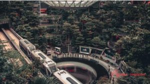 Get a Singapore Tourist Pass for public transportation