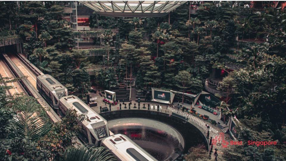 Get a Singapore Tourist Pass for public transportation