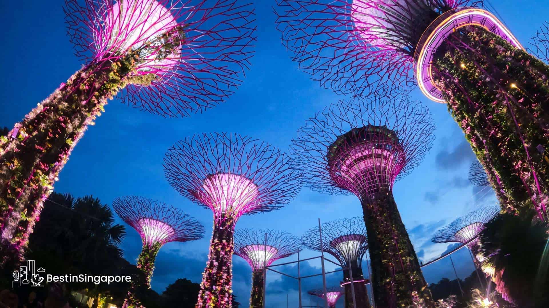 Green Paradise A Guide to Gardens by the Bay