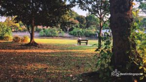 Hanging out at Changi Beach Park