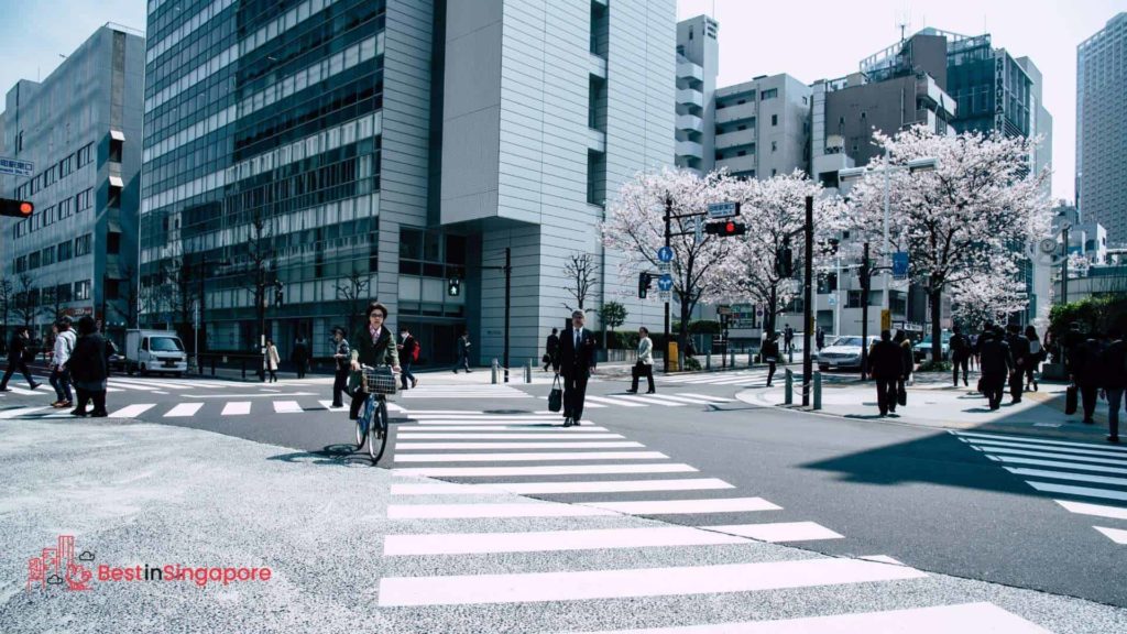 Harsh Punishments, Poor Safety for Pedestrians and Cyclists