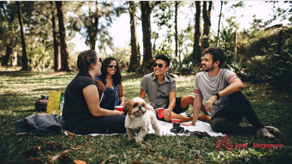 Have a picnic at East Coast Park