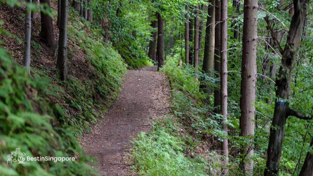 Hindhede Nature Park Trails