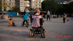 Is Jurong Lake Gardens accessible to people with disabilities