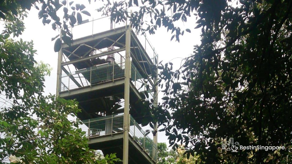 Jelutong Tower
