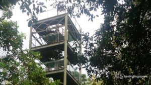Jelutong Tower