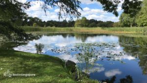 Pond and Fountain