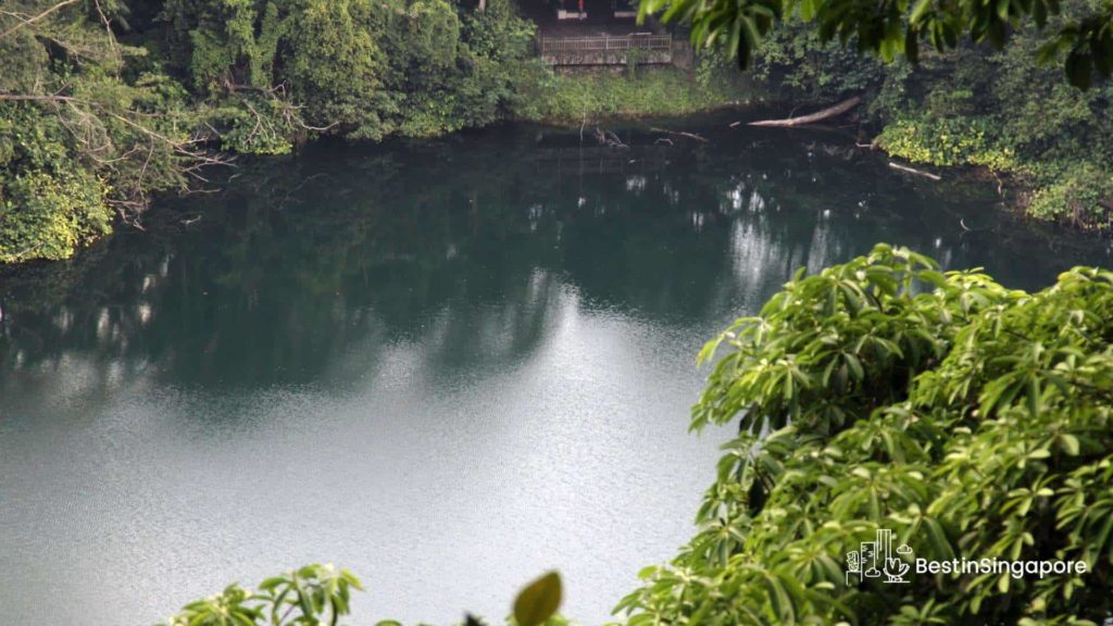 Singapore Quarry Wetland