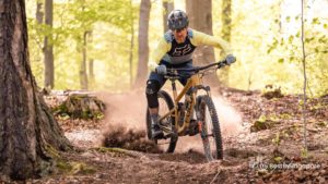 Southern Biking Loop