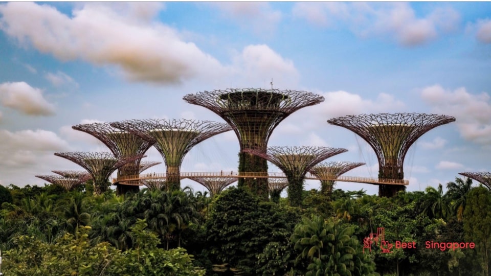 Stroll through Gardens By the Bay