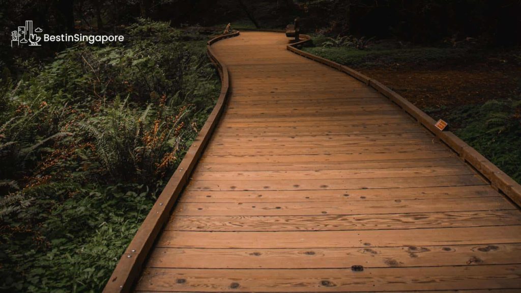 Submerged Boardwalk